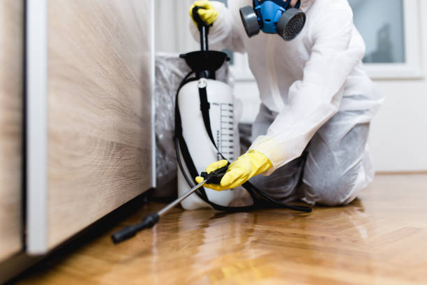 Best Insect Control  in Easton, CA