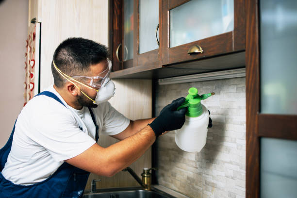 Best Pest Control Near Me  in Easton, CA