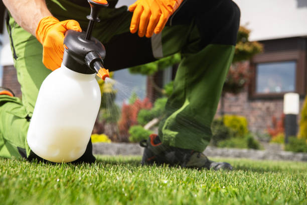 Best Local Pest Control Services  in Easton, CA