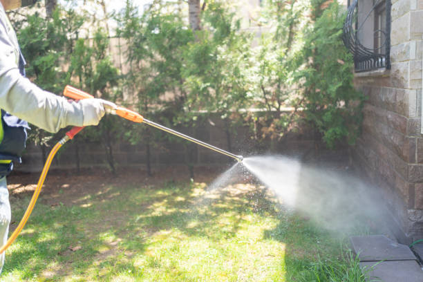 Best Spider Control Near Me  in Easton, CA