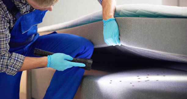 Best Best Pest Control Companies  in Easton, CA