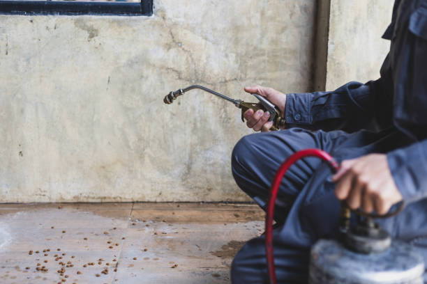 Best Exterminator Services  in Easton, CA