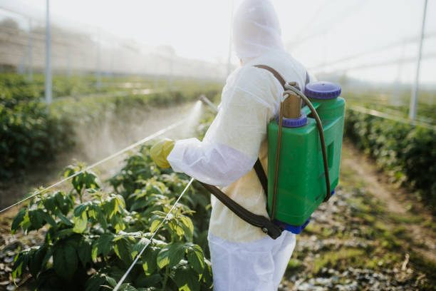 Best Pest Removal Services  in Easton, CA